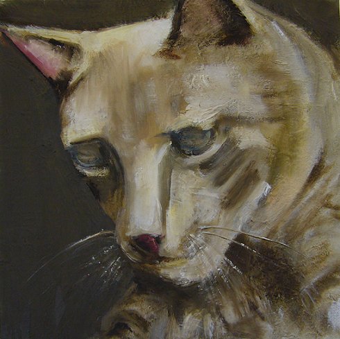 blind_cat_large.jpg (32548 bytes)