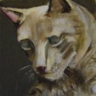 blind_cat_small.jpg (4963 bytes)