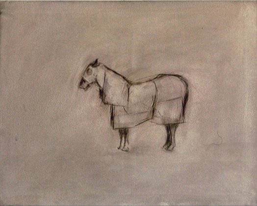 horse_large.jpg (42708 bytes)